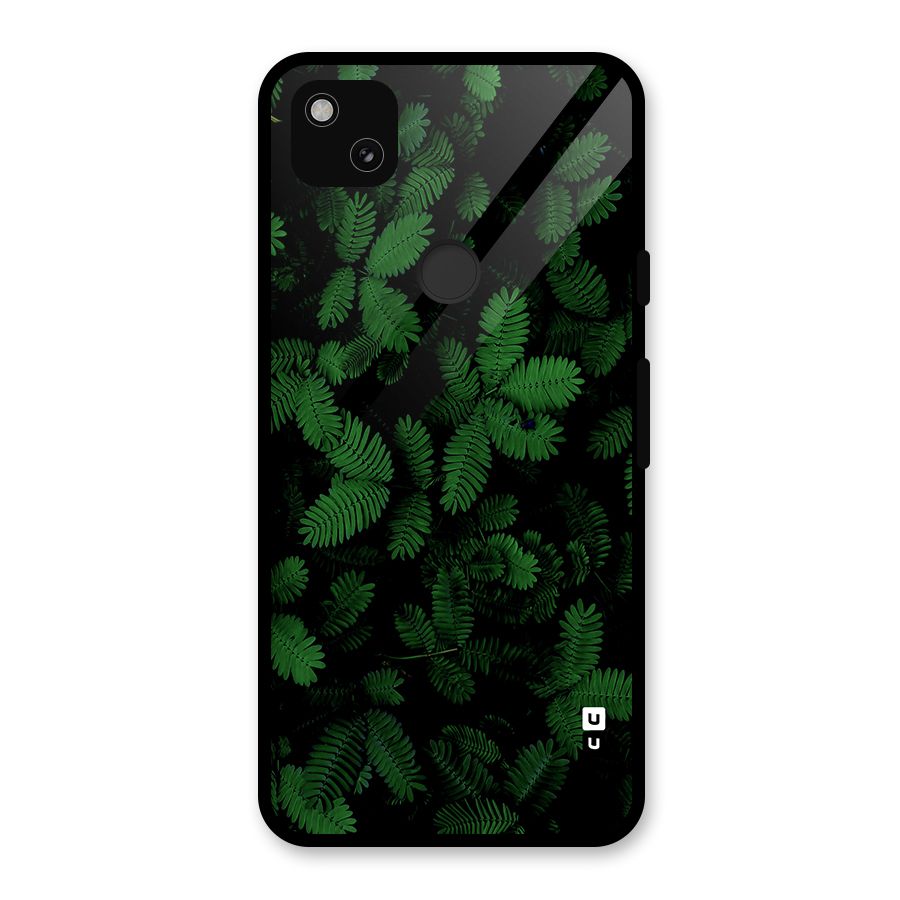 Beautiful Touch Me Not Glass Back Case for Google Pixel 4a