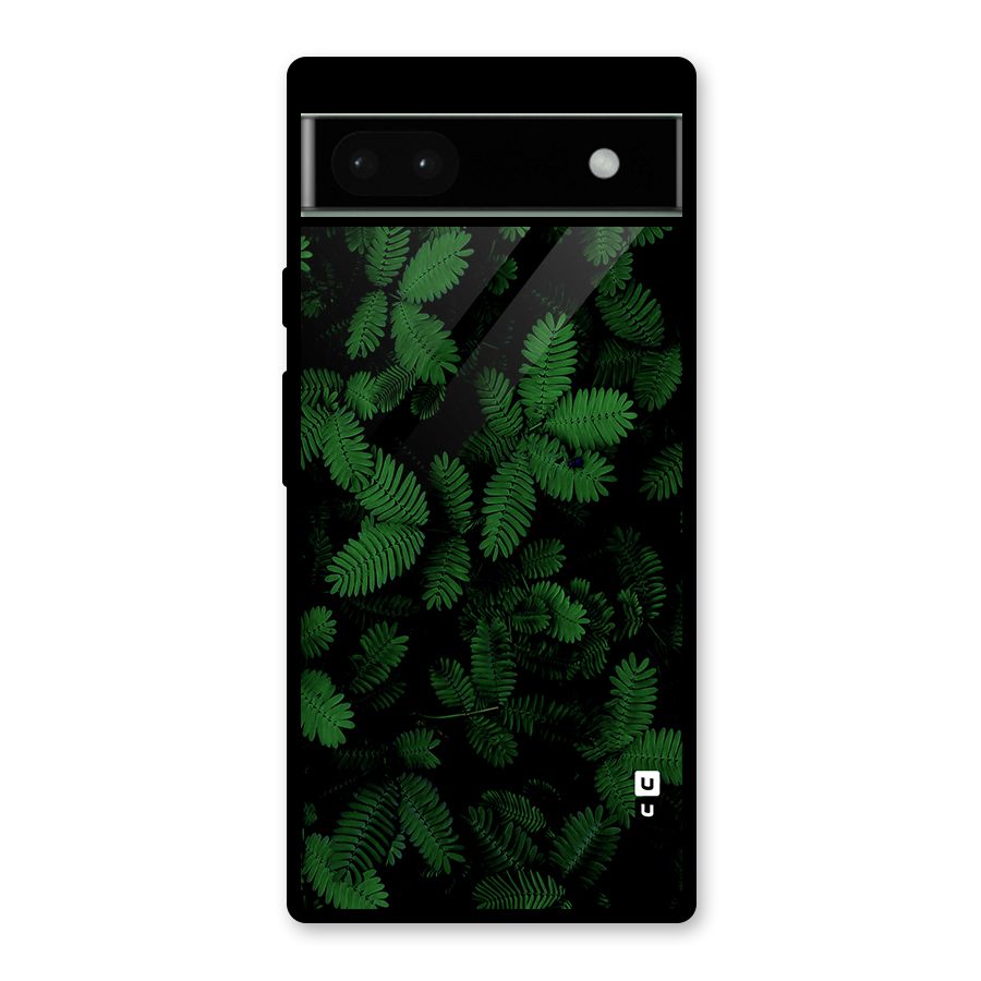 Beautiful Touch Me Not Glass Back Case for Google Pixel 6a