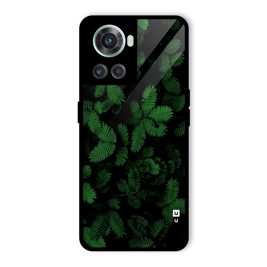 Beautiful Touch Me Not Glass Back Case for OnePlus 10R
