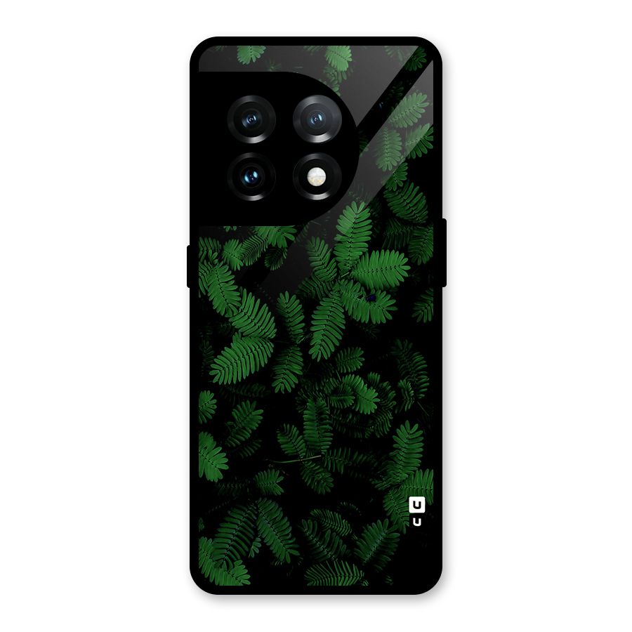 Beautiful Touch Me Not Glass Back Case for OnePlus 11