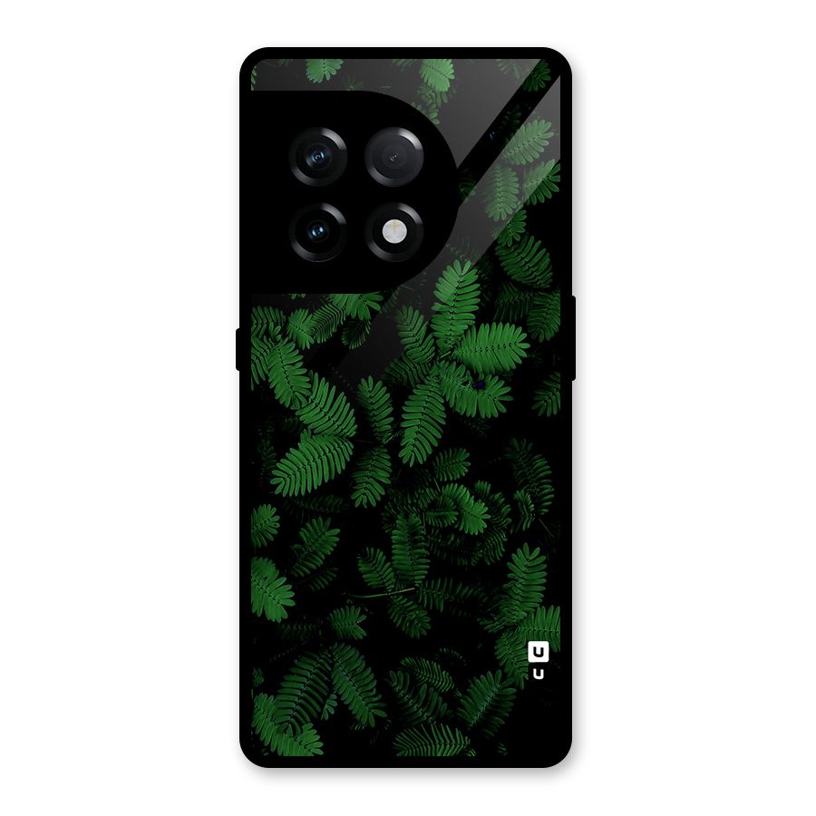 Beautiful Touch Me Not Glass Back Case for OnePlus 11R