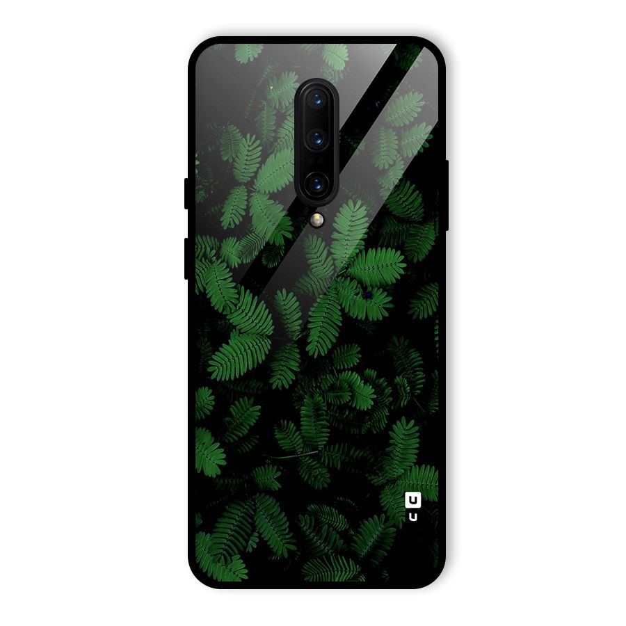 Beautiful Touch Me Not Glass Back Case for OnePlus 7 Pro