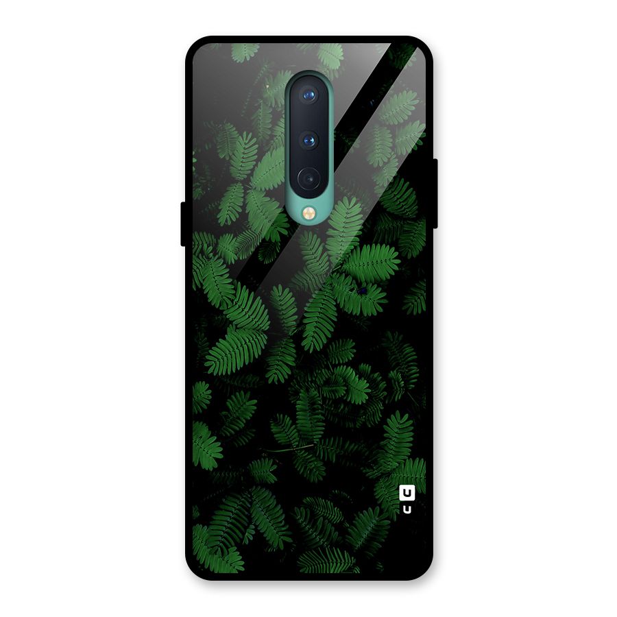 Beautiful Touch Me Not Glass Back Case for OnePlus 8