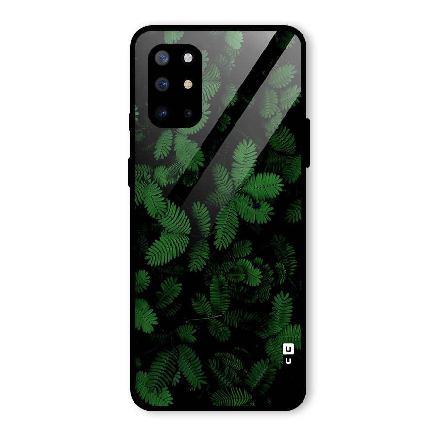 Beautiful Touch Me Not Glass Back Case for OnePlus 8T