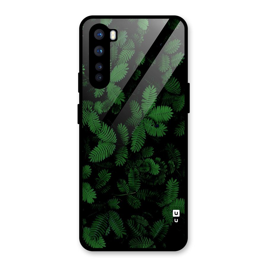 Beautiful Touch Me Not Glass Back Case for OnePlus Nord