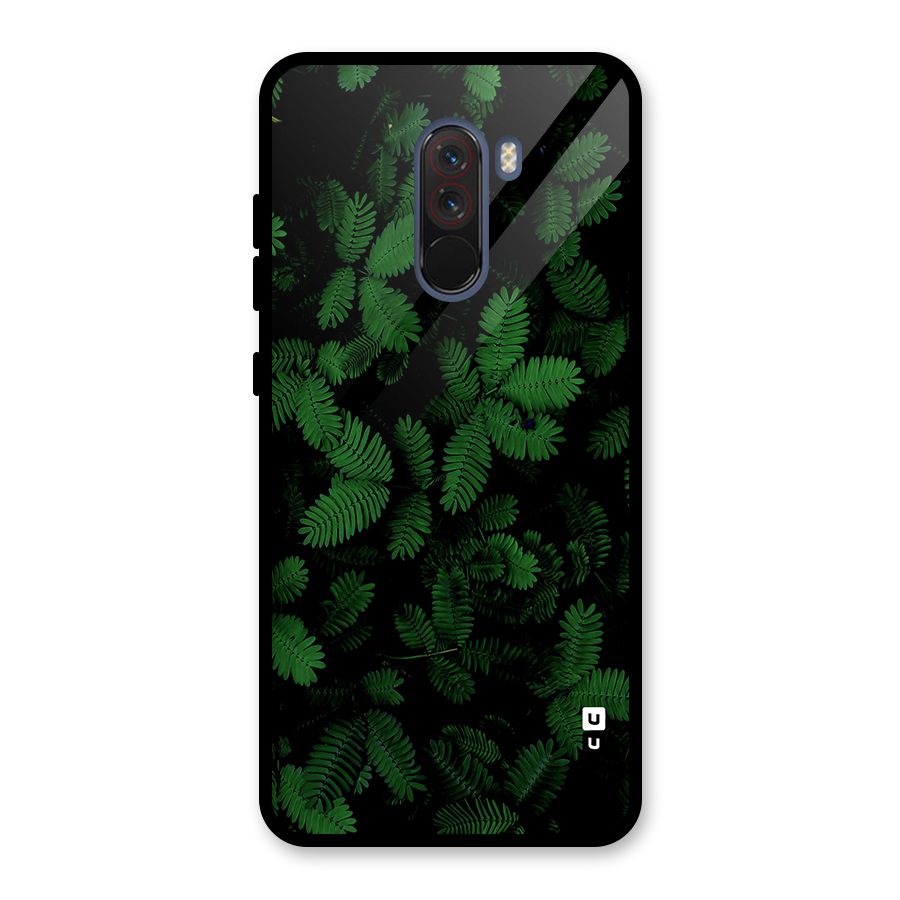 Beautiful Touch Me Not Glass Back Case for Poco F1