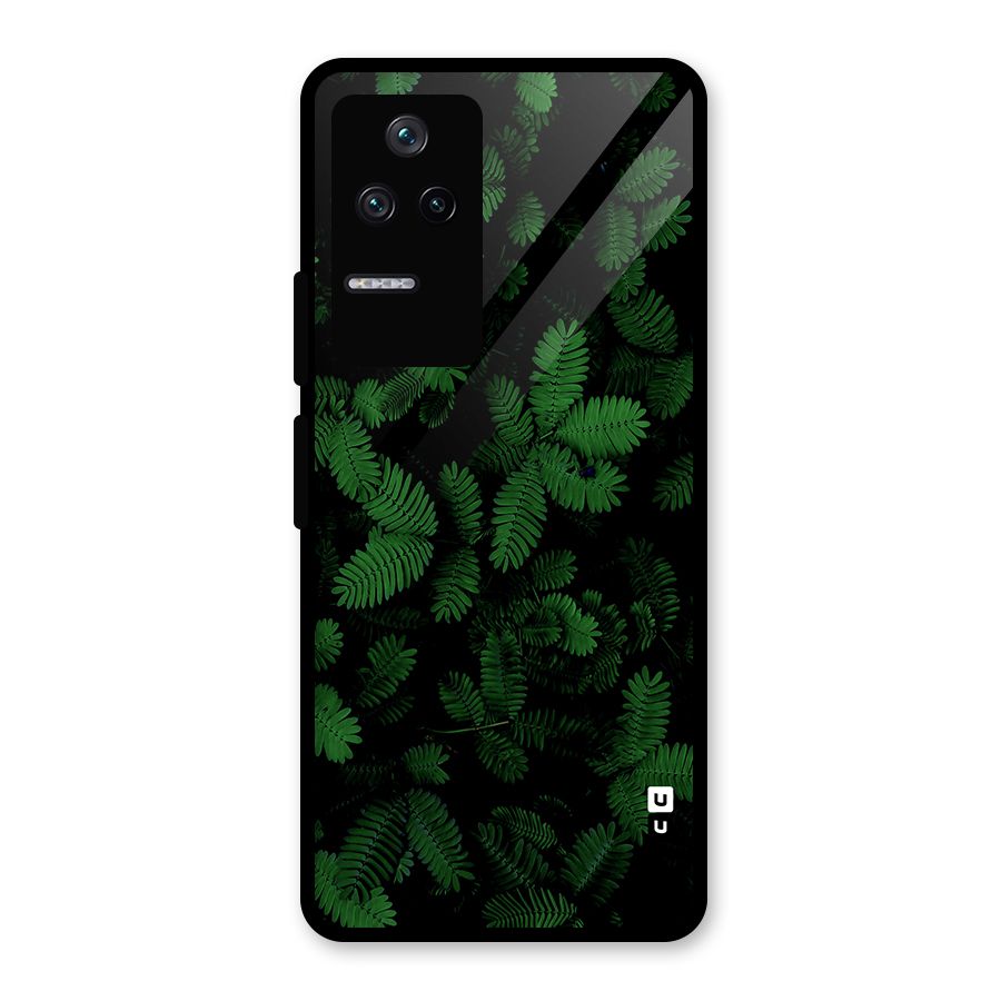 Beautiful Touch Me Not Glass Back Case for Poco F4 5G