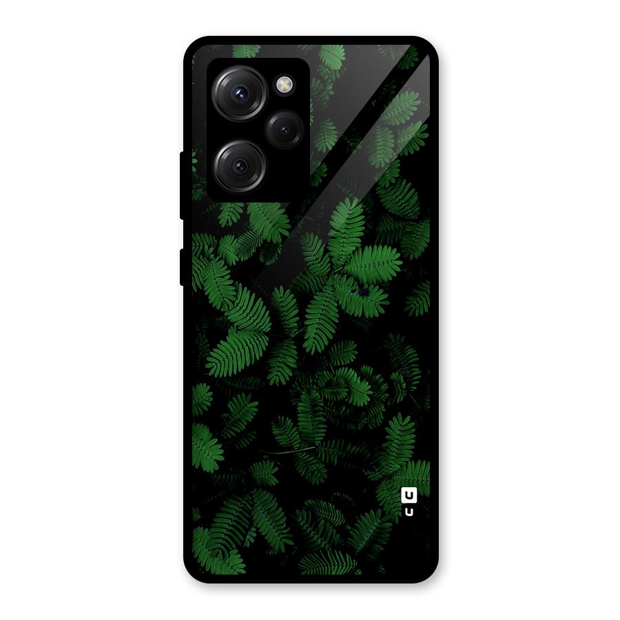 Beautiful Touch Me Not Glass Back Case for Poco X5 Pro