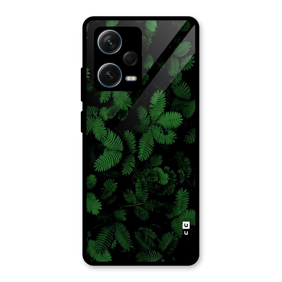 Beautiful Touch Me Not Glass Back Case for Redmi Note 12 Pro Plus 5G