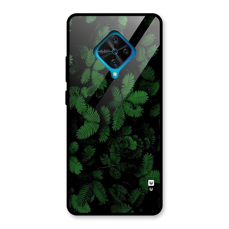 Beautiful Touch Me Not Glass Back Case for Vivo S1 Pro
