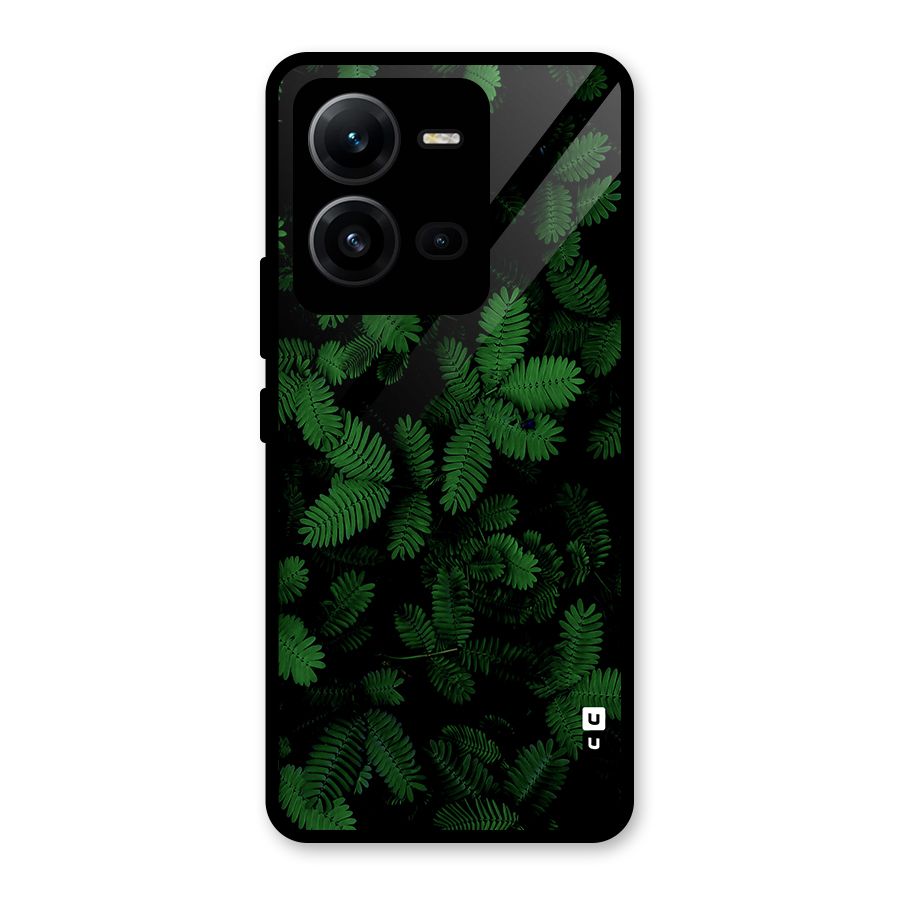 Beautiful Touch Me Not Glass Back Case for Vivo V25