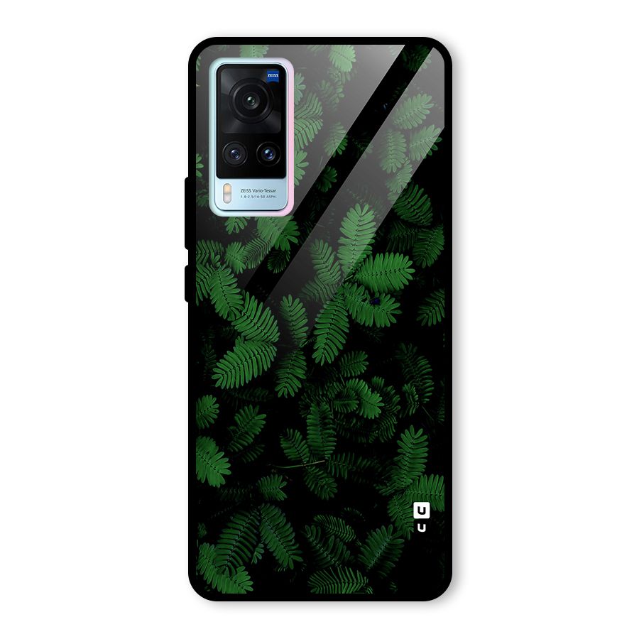 Beautiful Touch Me Not Glass Back Case for Vivo X60
