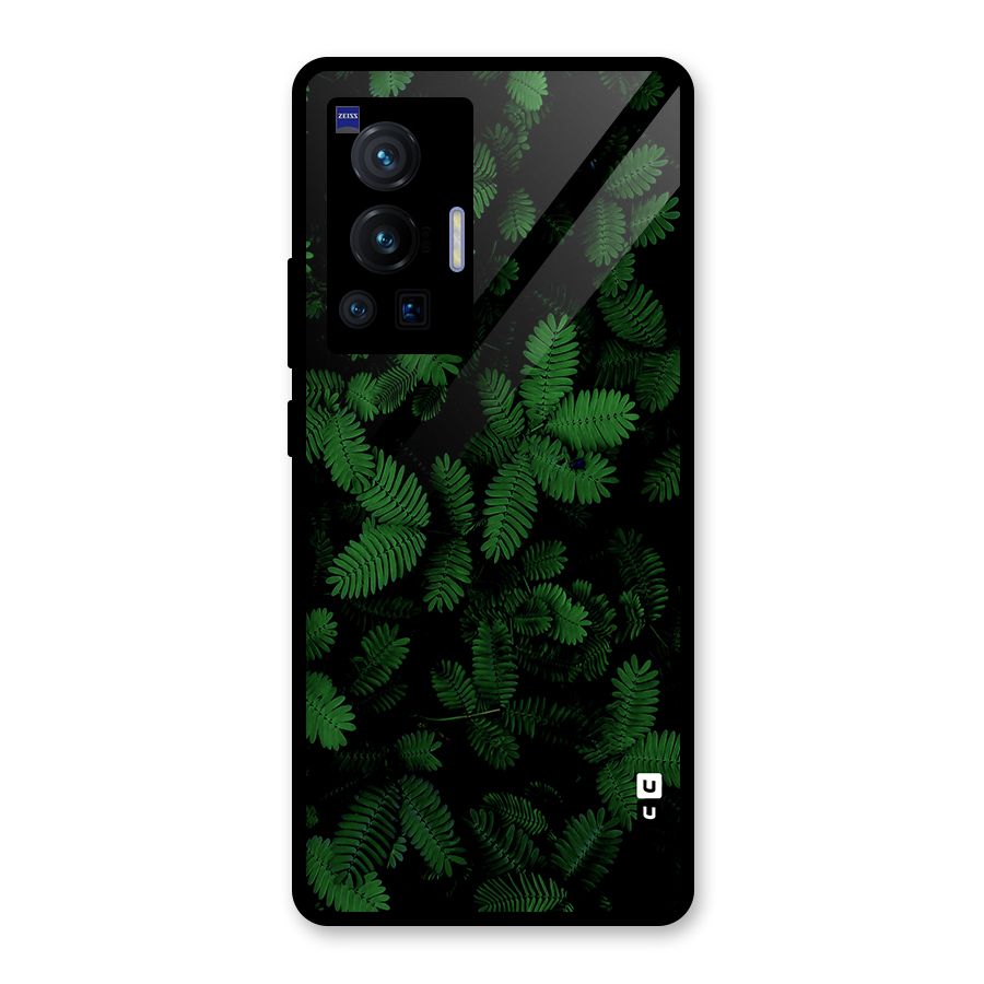 Beautiful Touch Me Not Glass Back Case for Vivo X70 Pro