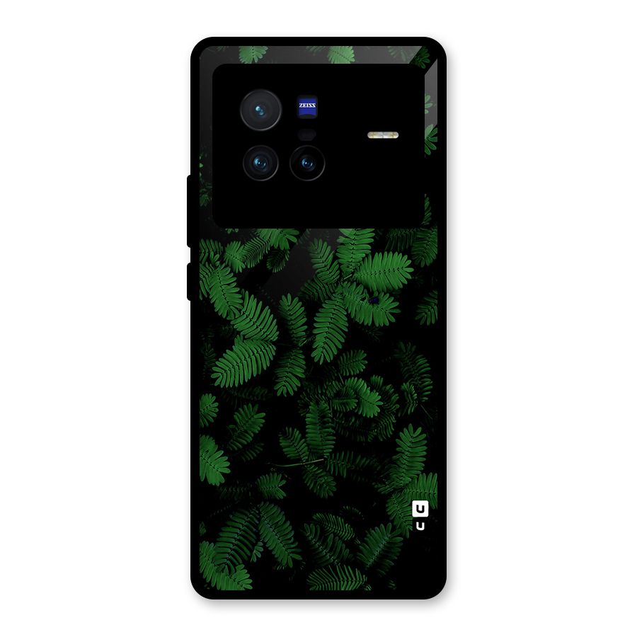 Beautiful Touch Me Not Glass Back Case for Vivo X80