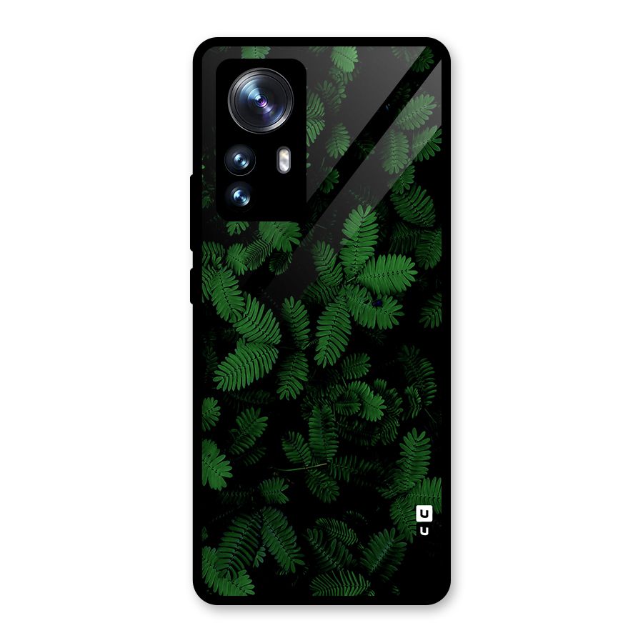 Beautiful Touch Me Not Glass Back Case for Xiaomi 12 Pro