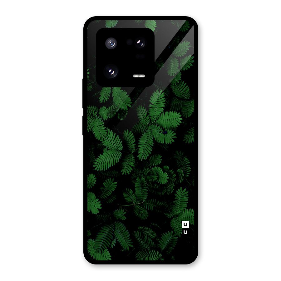 Beautiful Touch Me Not Glass Back Case for Xiaomi 13 Pro
