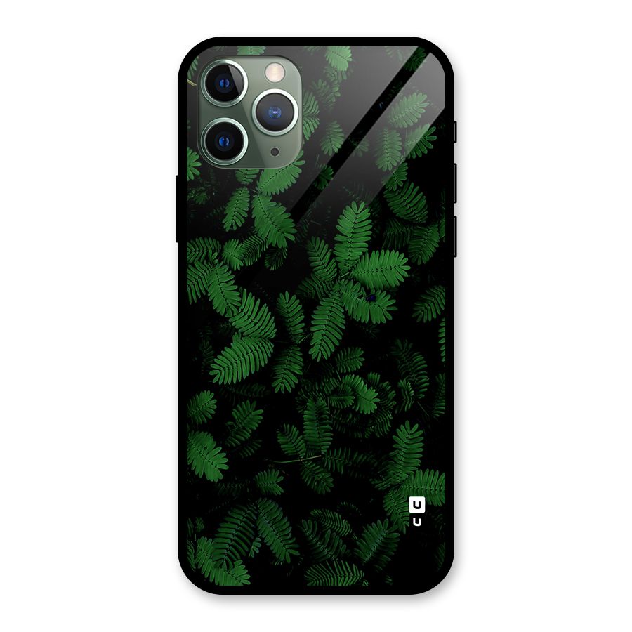 Beautiful Touch Me Not Glass Back Case for iPhone 11 Pro