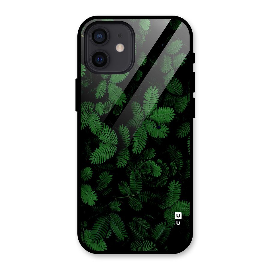 Beautiful Touch Me Not Glass Back Case for iPhone 12