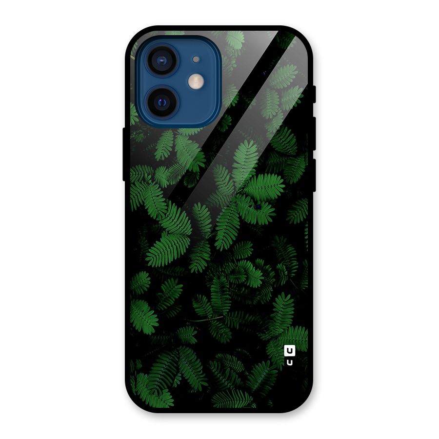 Beautiful Touch Me Not Glass Back Case for iPhone 12 Mini