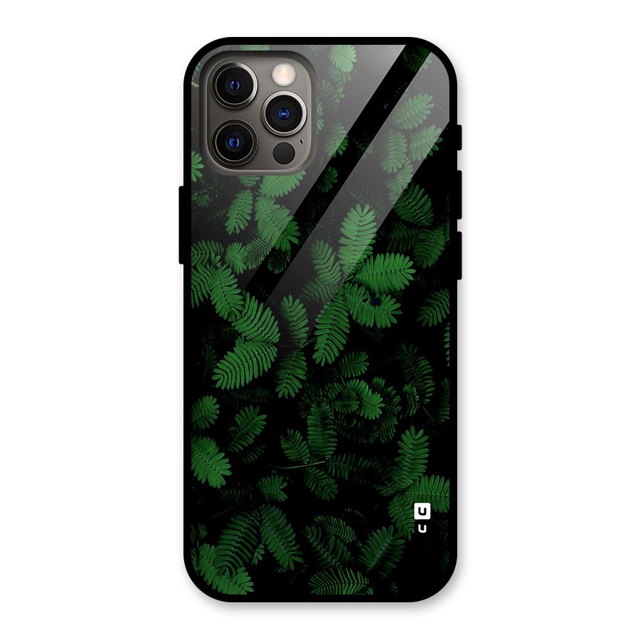 Beautiful Touch Me Not Glass Back Case for iPhone 12 Pro