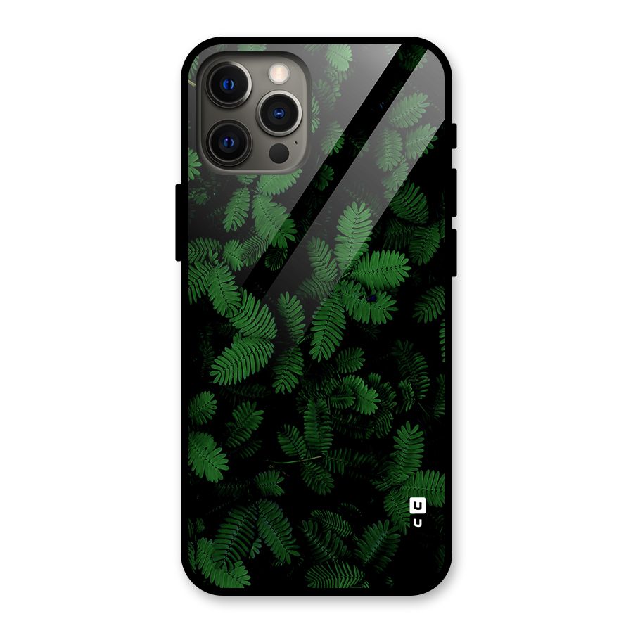 Beautiful Touch Me Not Glass Back Case for iPhone 12 Pro Max
