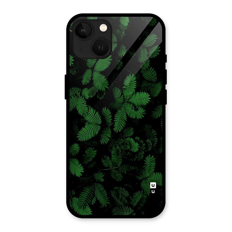 Beautiful Touch Me Not Glass Back Case for iPhone 13