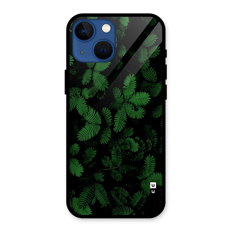 Beautiful Touch Me Not Glass Back Case for iPhone 13 Mini