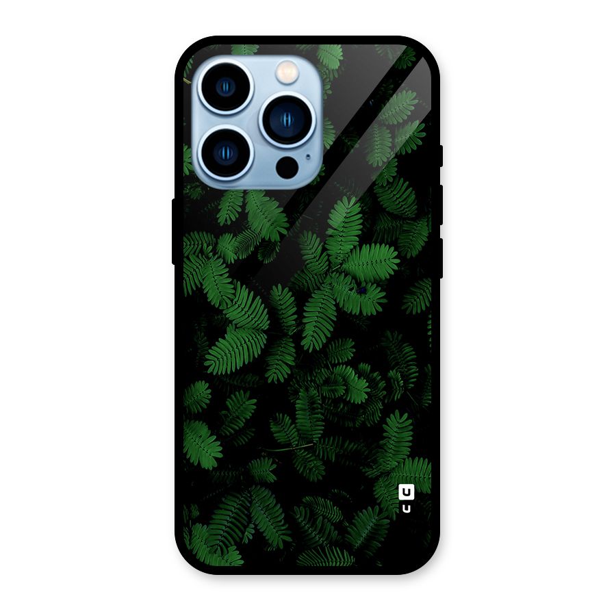 Beautiful Touch Me Not Glass Back Case for iPhone 13 Pro