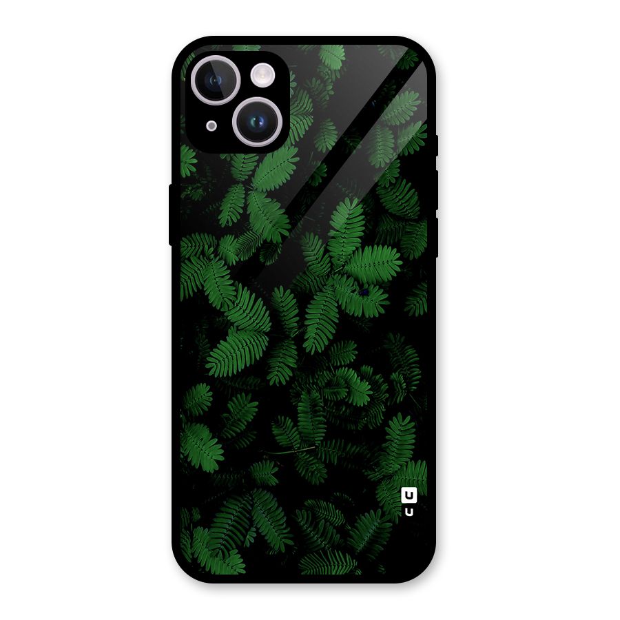 Beautiful Touch Me Not Glass Back Case for iPhone 14 Plus