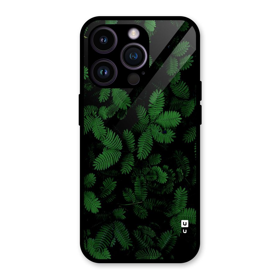 Beautiful Touch Me Not Glass Back Case for iPhone 14 Pro