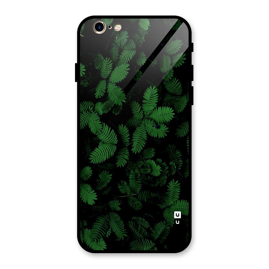 Beautiful Touch Me Not Glass Back Case for iPhone 6 6S