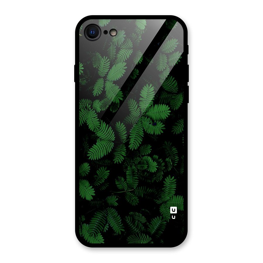Beautiful Touch Me Not Glass Back Case for iPhone 7