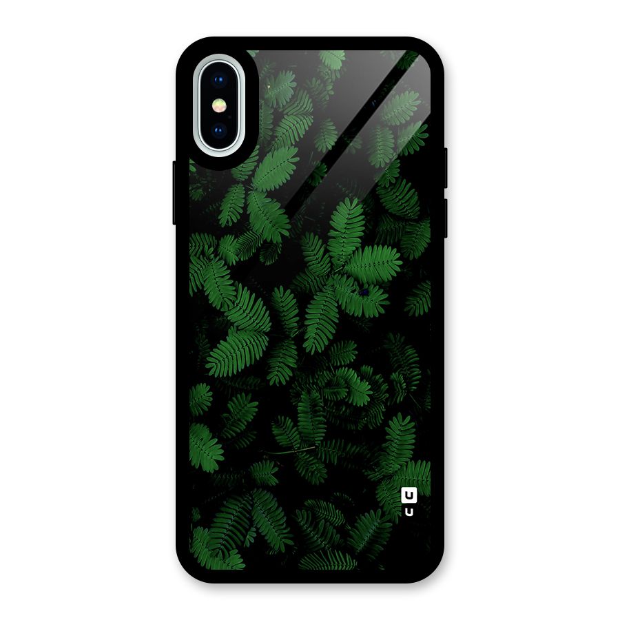 Beautiful Touch Me Not Glass Back Case for iPhone X