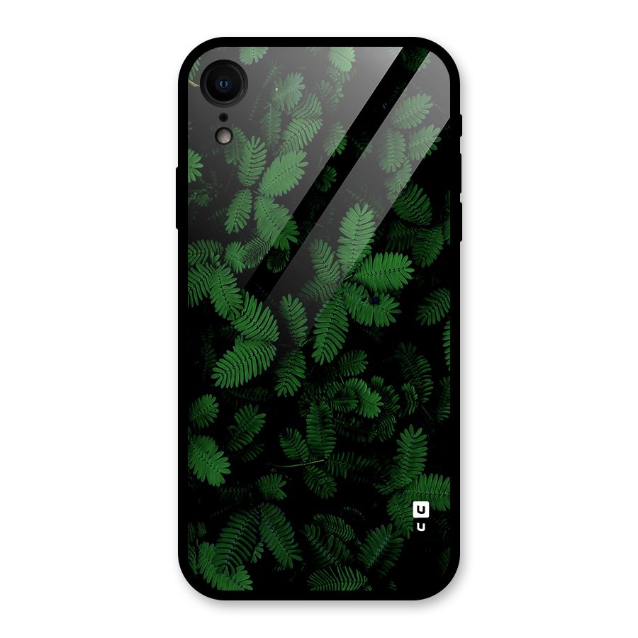 Beautiful Touch Me Not Glass Back Case for iPhone XR