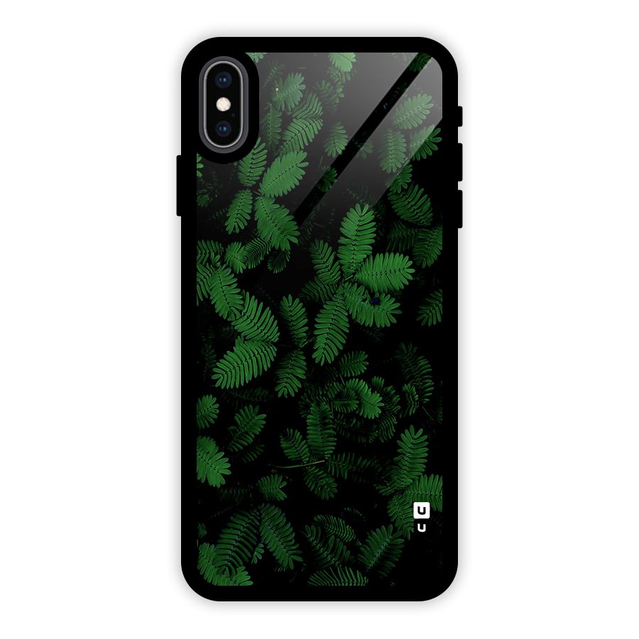 Beautiful Touch Me Not Glass Back Case for iPhone XS Max