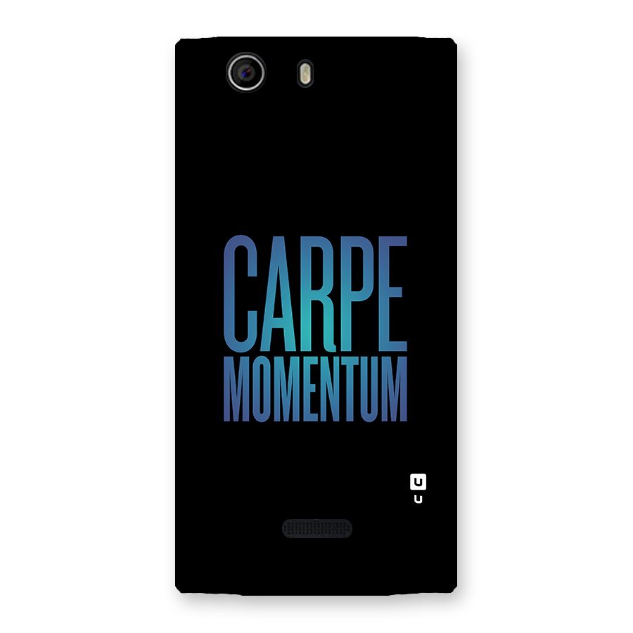 Carpe Momentum Back Case for Canvas Nitro 2 E311