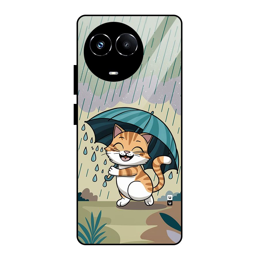 Cat In Rain Glass Back Case for Realme 11X
