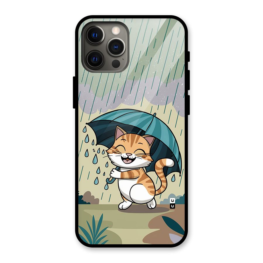 Cat In Rain Glass Back Case for iPhone 12 Pro Max