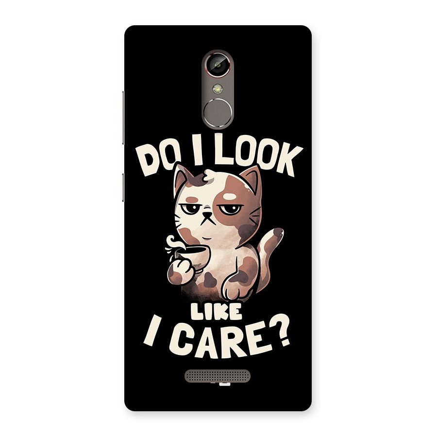 Cat Look Like Care Back Case for Gionee S6s