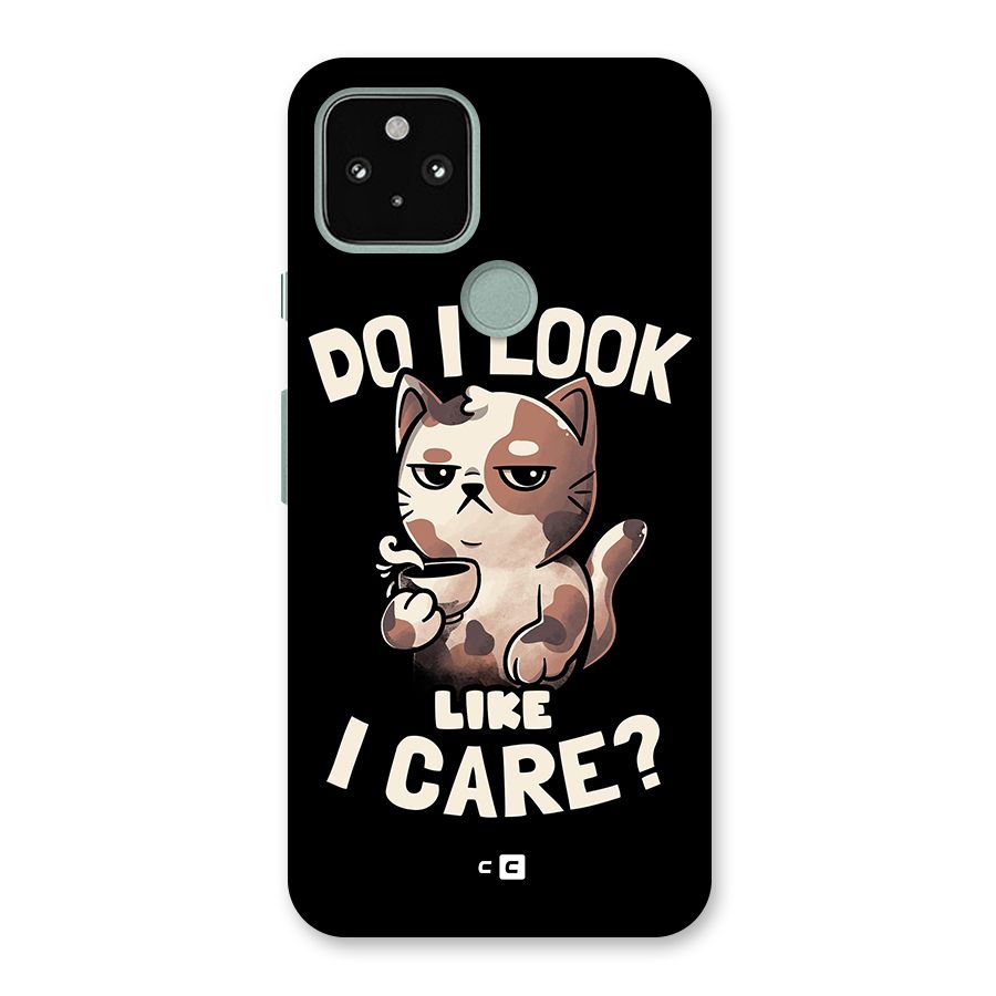 Cat Look Like Care Back Case for Google Pixel 5