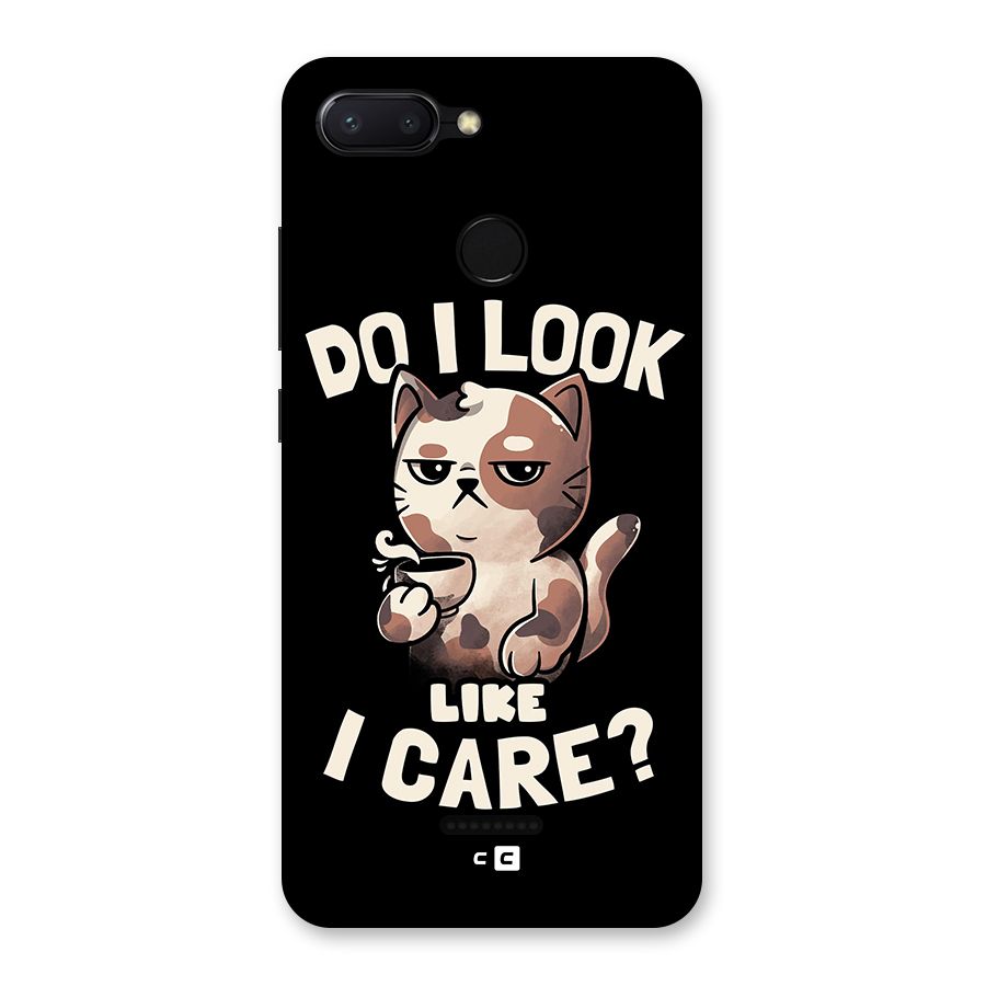 Cat Look Like Care Back Case for Redmi 6