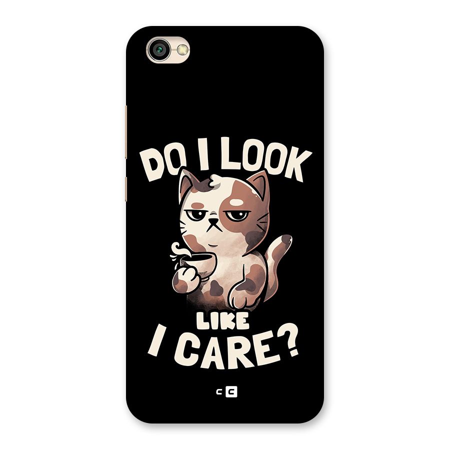 Cat Look Like Care Back Case for Redmi Y1 Lite