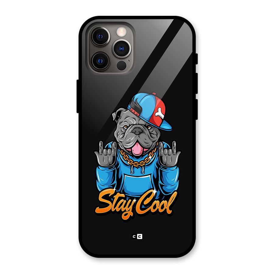 Chill Calm Cool Glass Back Case for iPhone 12 Pro
