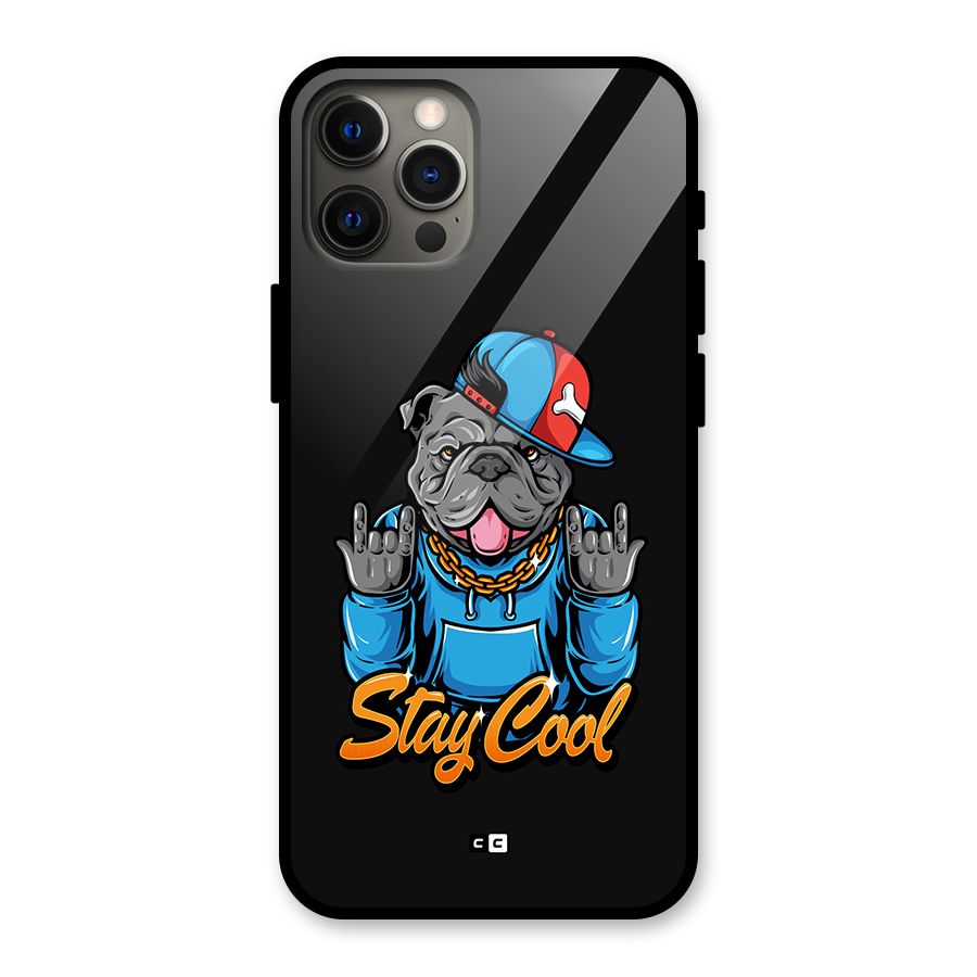 Chill Calm Cool Glass Back Case for iPhone 12 Pro Max