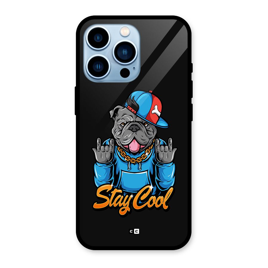 Chill Calm Cool Glass Back Case for iPhone 13 Pro