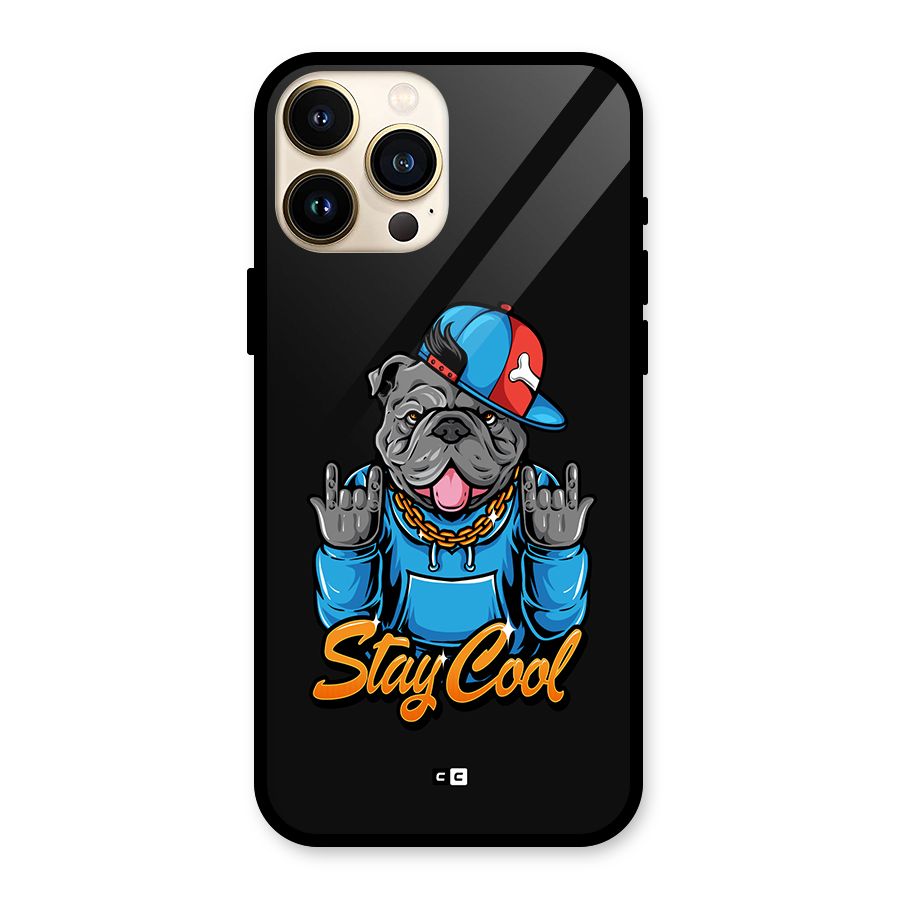 Chill Calm Cool Glass Back Case for iPhone 13 Pro Max