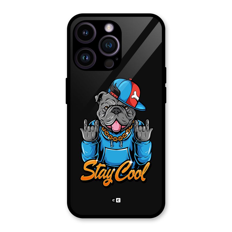 Chill Calm Cool Glass Back Case for iPhone 14 Pro Max