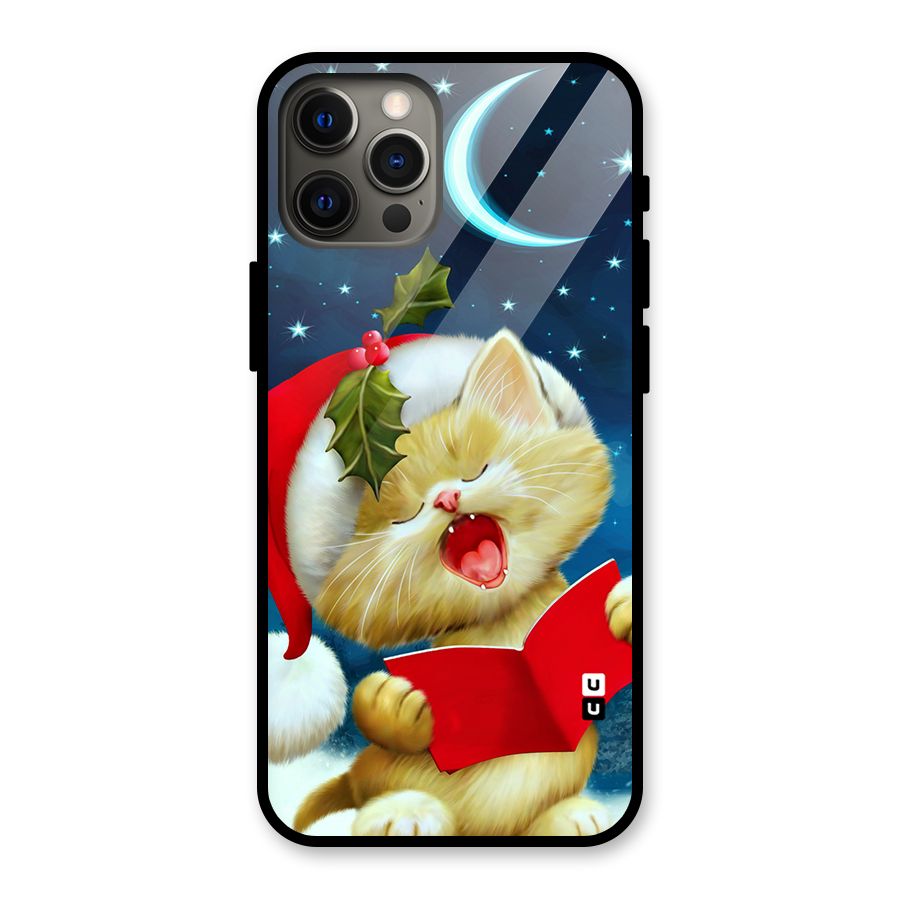 Christmas Cat Glass Back Case for iPhone 12 Pro Max