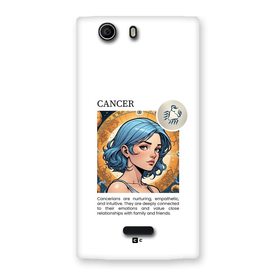 Connected Cancer Back Case for Canvas Nitro 2 E311
