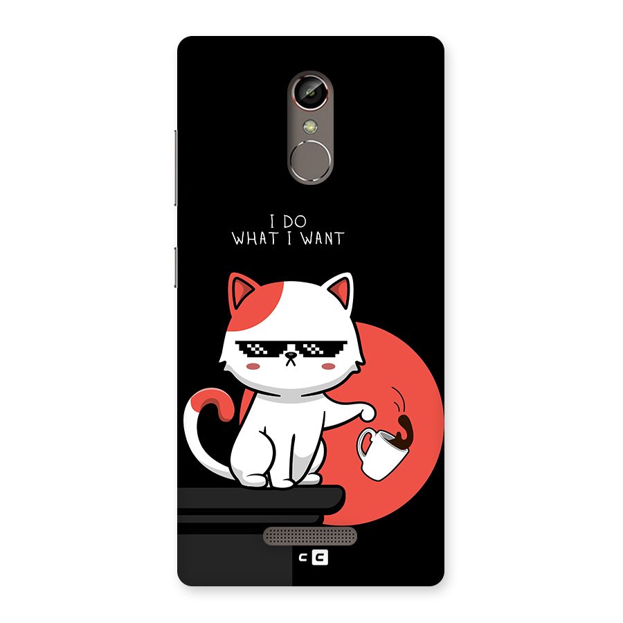 Cute Attitude Cat Back Case for Gionee S6s